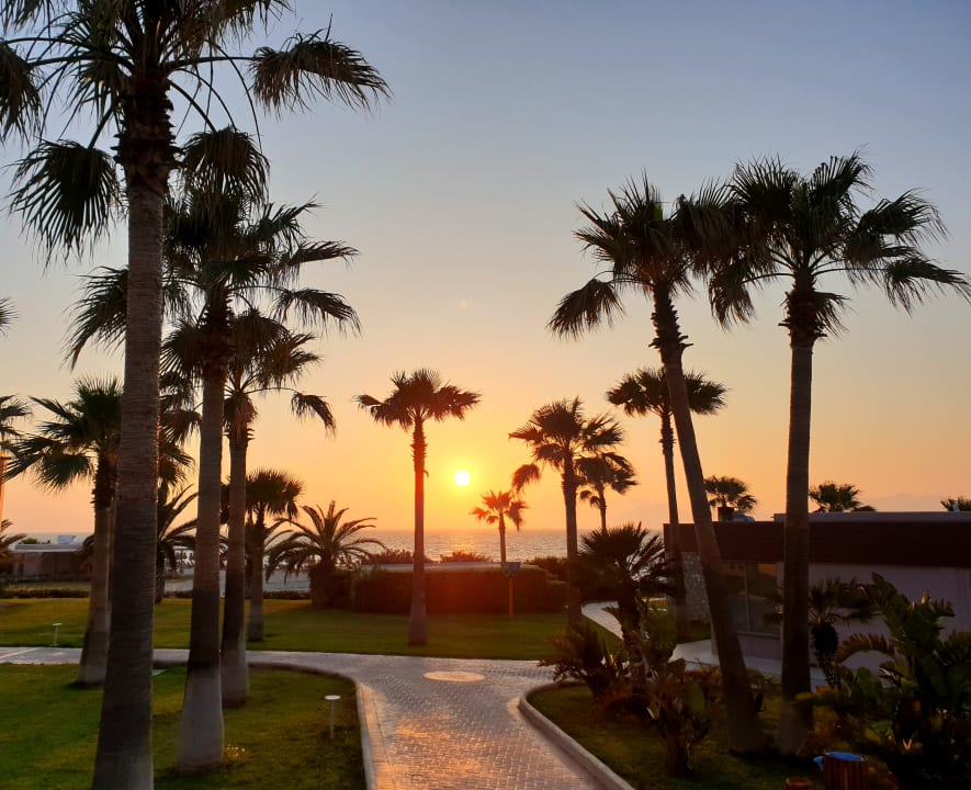 Gartenanlage Hotel Horizon Beach Resort