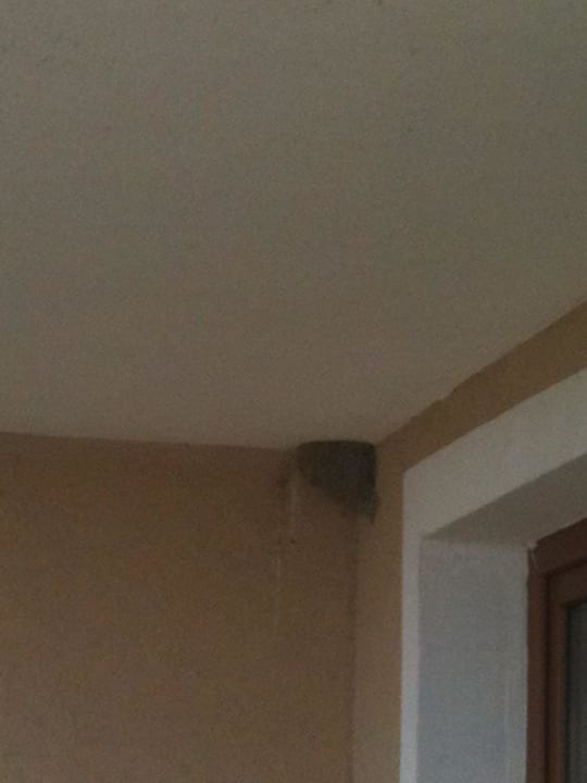 Mit Vogelbezug auf Balkon HVD Clubhotel Miramar