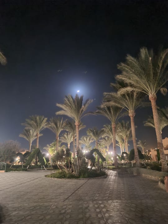 Gartenanlage Sentido Akassia Beach