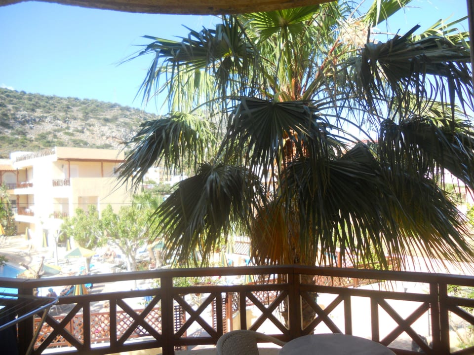 Traumhafter Zimmerausblick Cactus Beach