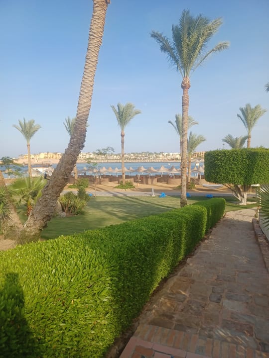 Ausblick Steigenberger Coraya Beach - Adults only