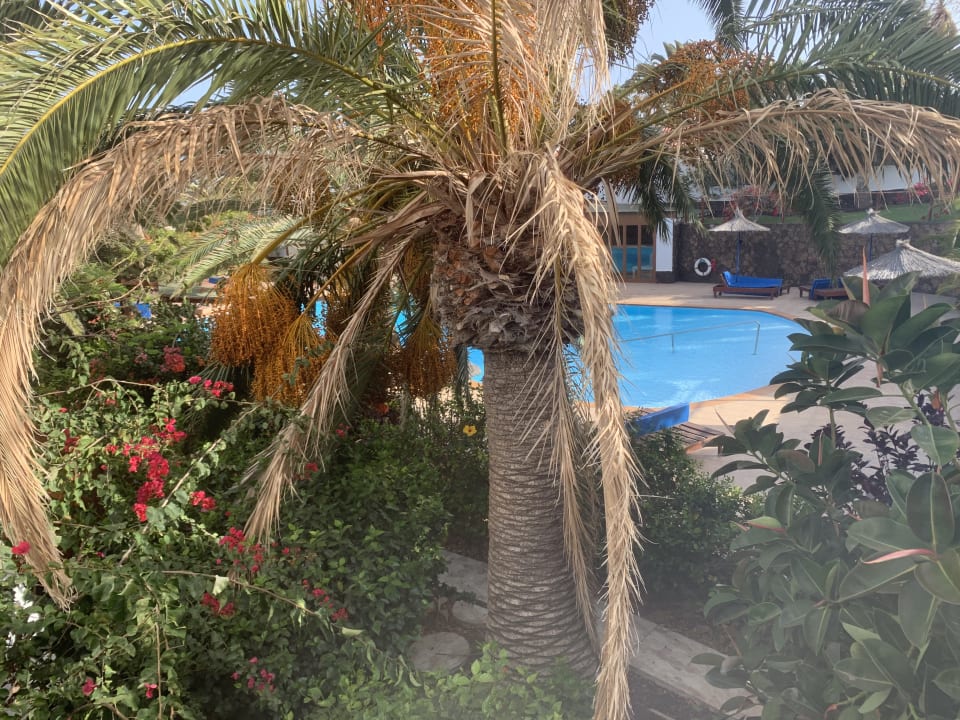 Pool Monte Marina Naturist Resort
