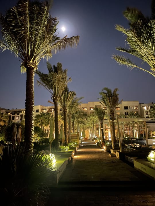 Gartenanlage Park Hyatt Abu Dhabi Hotel and Villas