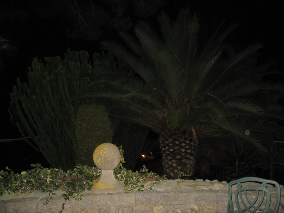 Januarnacht im Garten Gran Hotel Son Net