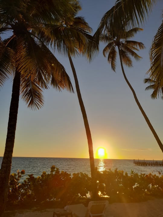 Ausblick Secrets La Romana Resort & Spa - Adult Only