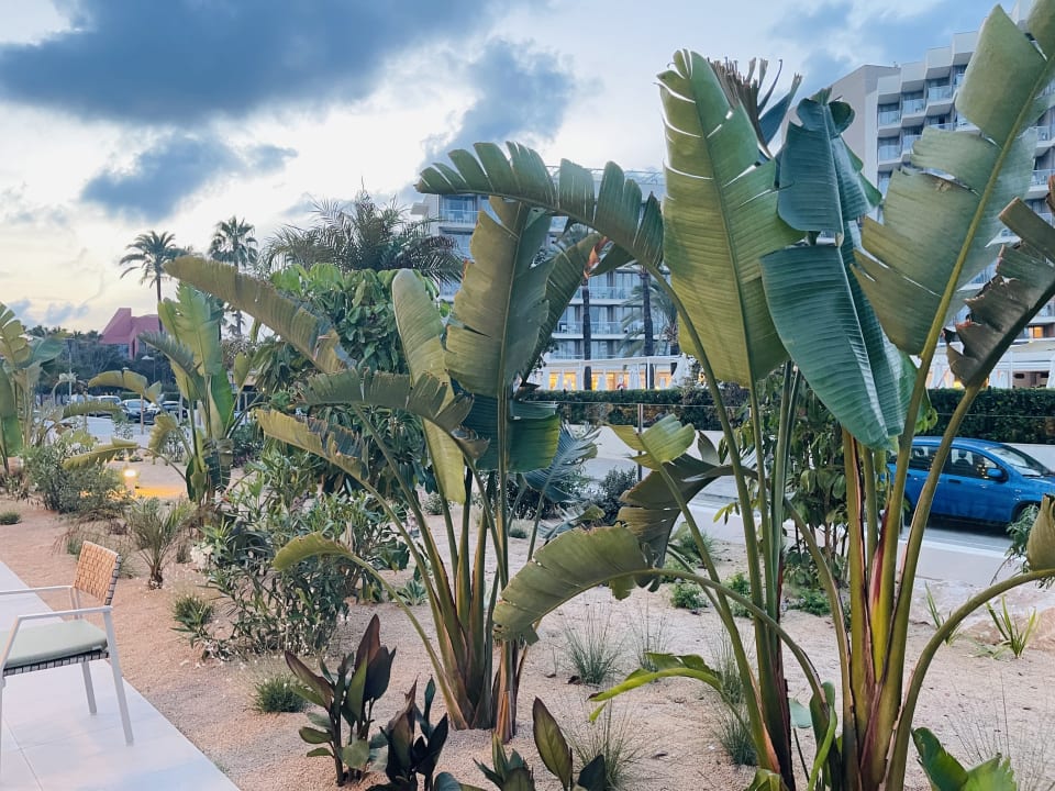 Gartenanlage Hipotels Flamenco