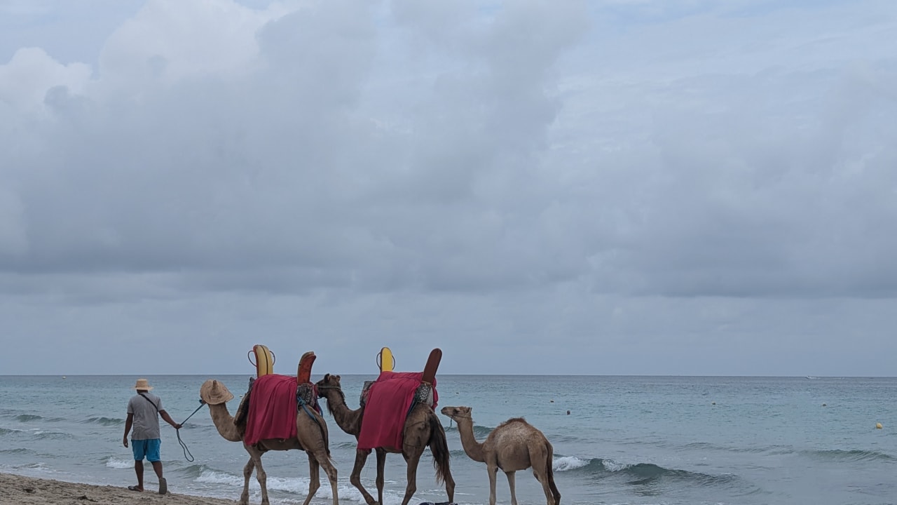 Strand Les Quatres Saisons & Thalasso Djerba