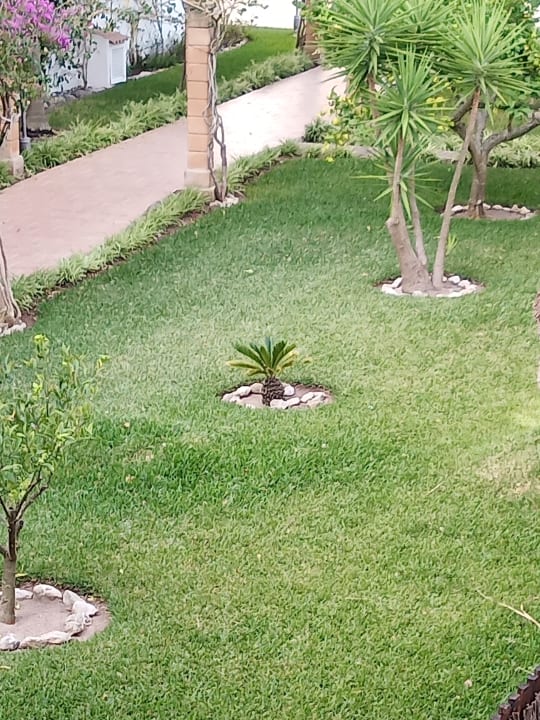 Gartenanlage Alcudia Garden Aparthotel