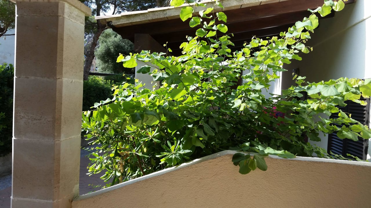 Terrasse Paradise Residencial