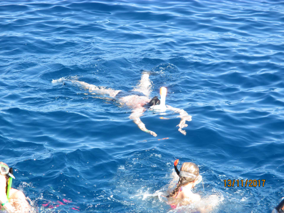 Strand Serenity Alpha Beach