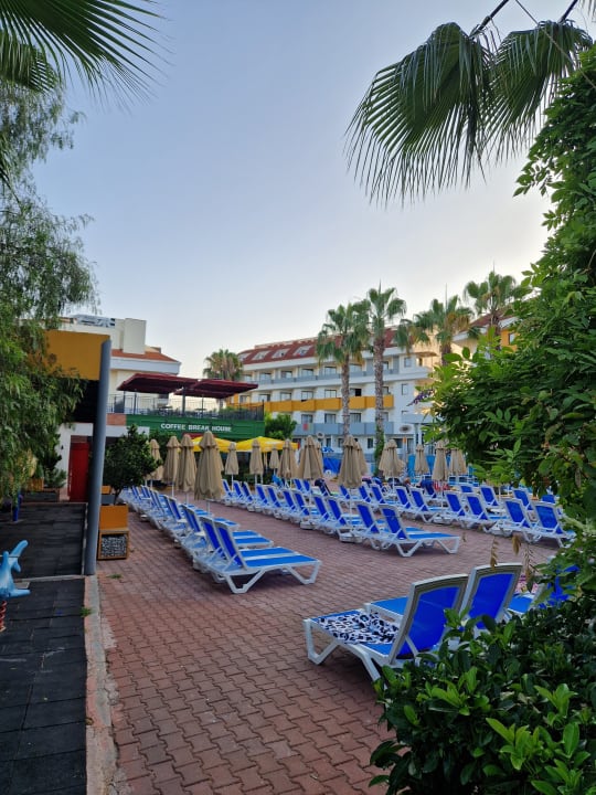 Pool Hane Family Resort