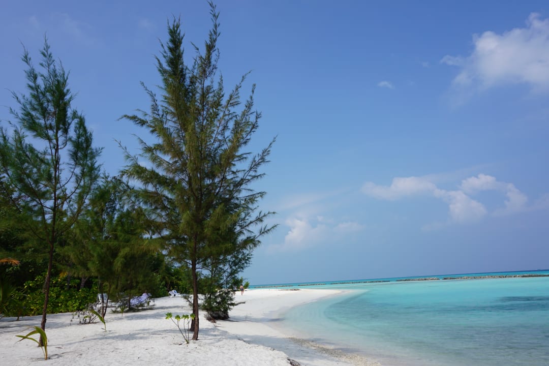 Strand Summer Island Maldives