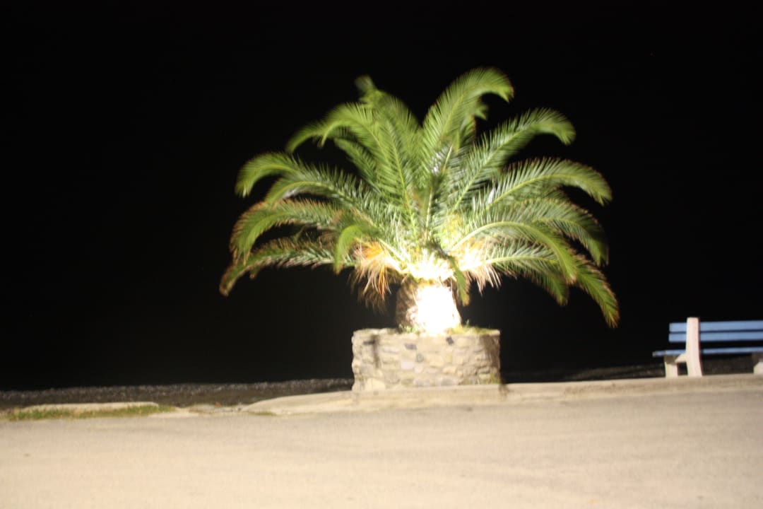 Am Abend alltoura Club Hotel Poseidon Palace