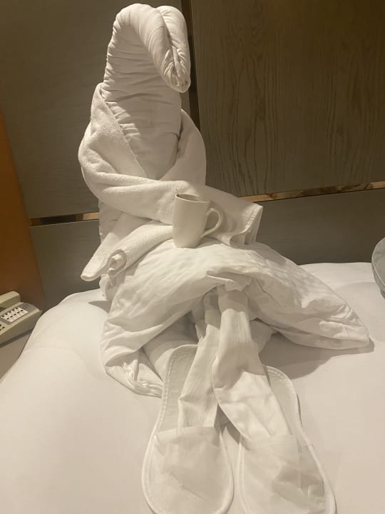 Zimmer Arycanda Kirman Premium