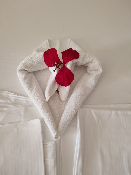 Zimmer Seaden Sea World Resort & Spa