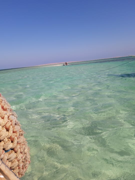Sport & Freizeit Beach Albatros Resort
