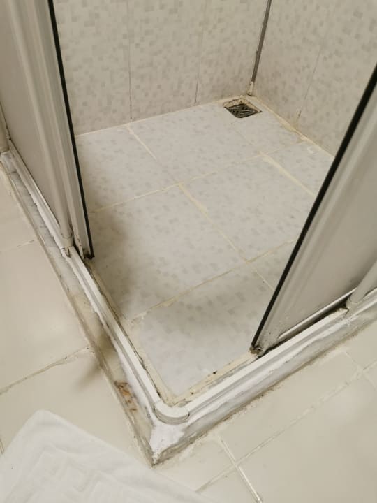 Zimmer Clover Magic Nova Beach