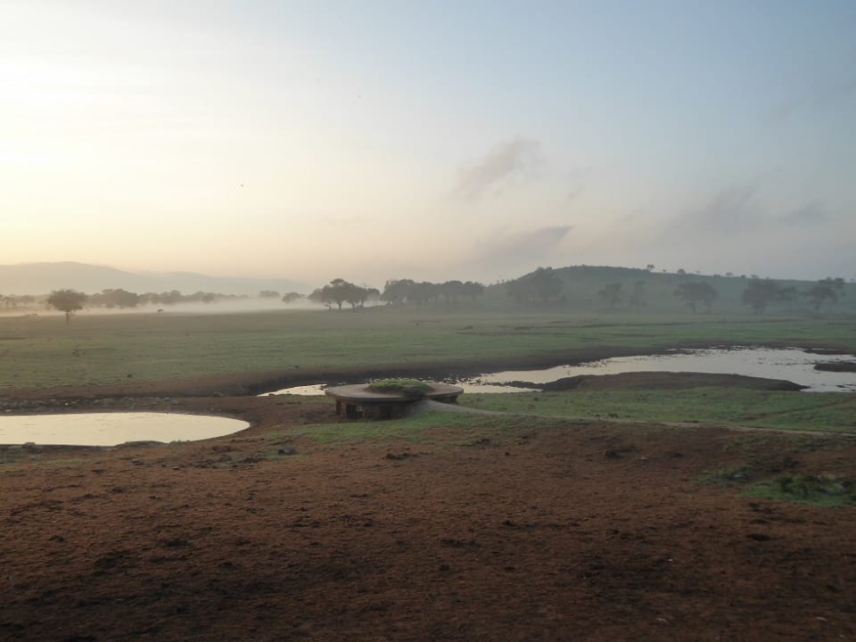 Ausblick Salt Lick Safari Lodge