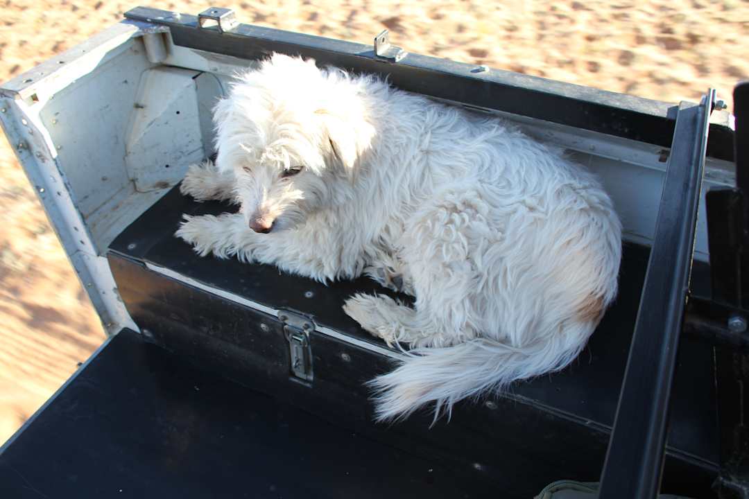 Sonstiges Tsondab Valley Scenic Reserve
