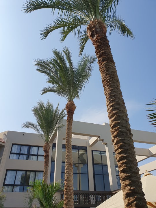 Gartenanlage JAZ Elite Casa del Mar Beach