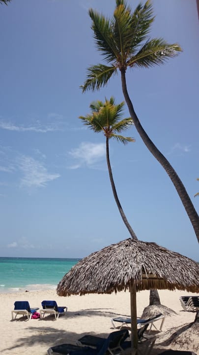 Traumhafter Ausblick Grand Palladium Select Bávaro Resort & Spa