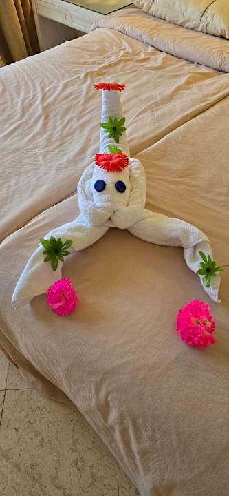 Zimmer Makadi Spa - Adults only