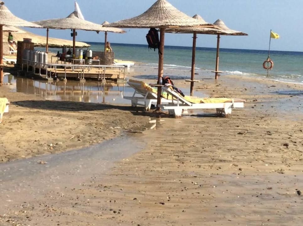 Hotelstrand Three Corners Equinox Beach Resort