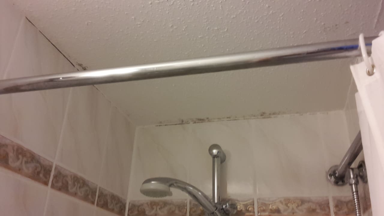 Zimmer Hotel Enziana Wien