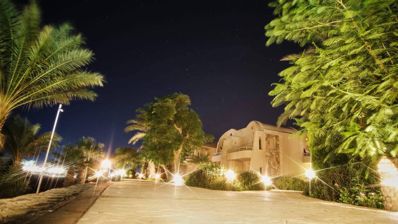 Ausblick Shams Alam Beach Resort