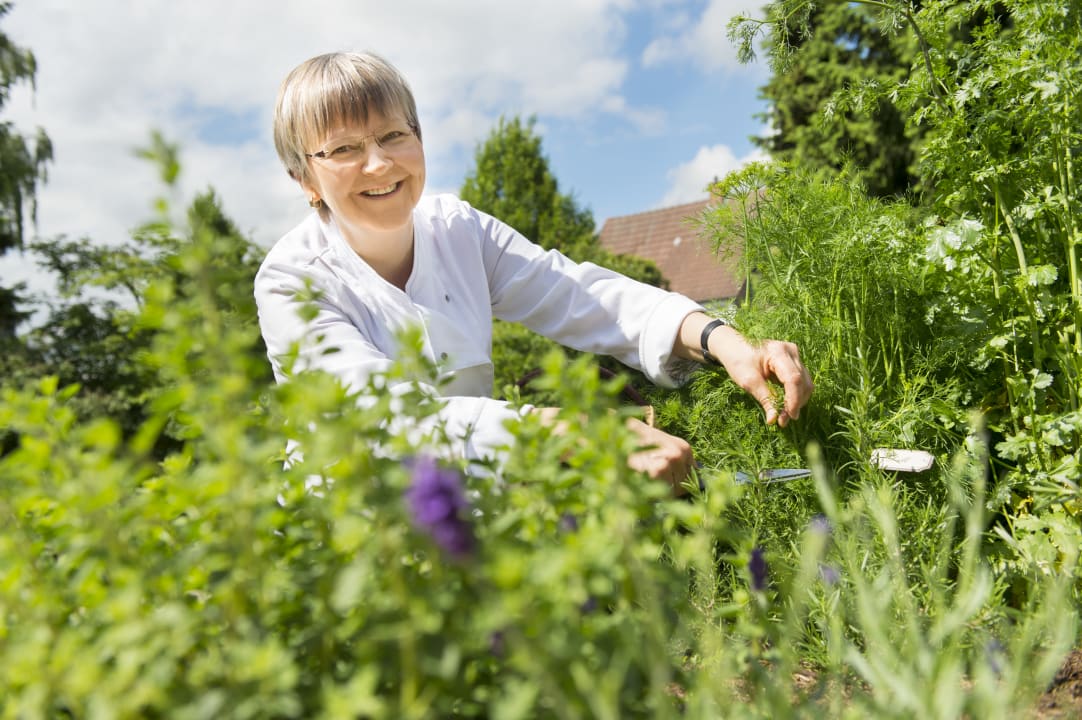 Gartenanlage Bio-Hotel Melter