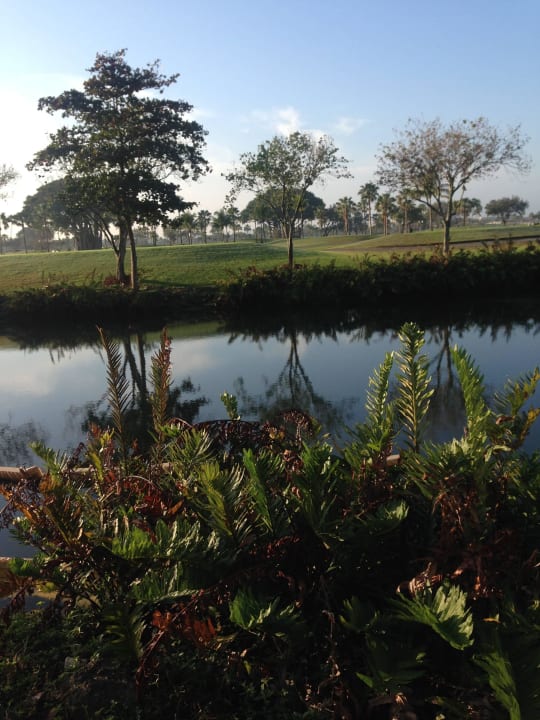 Blick vom pool zum golfplatz Hotel Sheraton Miami Airport & Executive Meeting Center
