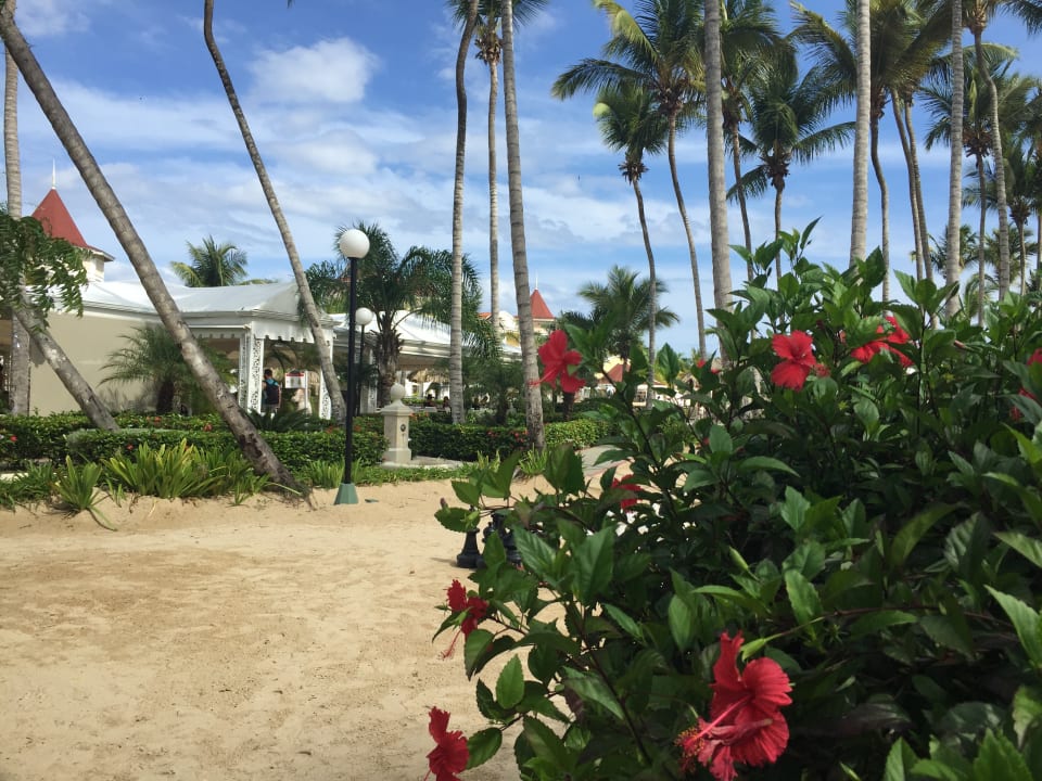 Gartenanlage Bahia Principe Luxury Bouganville