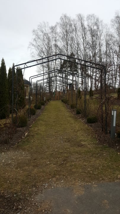 Gartenanlage Spirit & SPA Hotel Birkenhof am Elfenhain