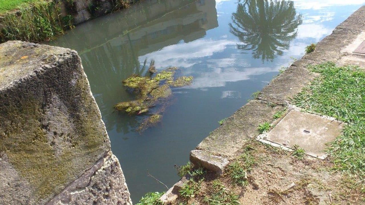 Verdrecktes und stinkendes Kanalwasser BelleVue Club