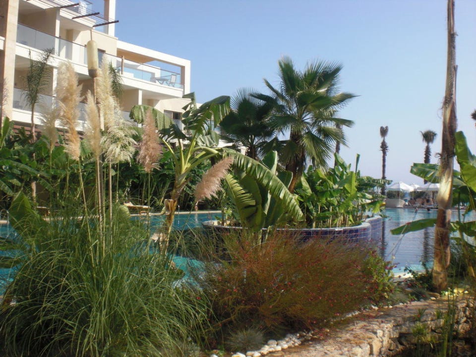 Gartenanlage Paloma Pasha