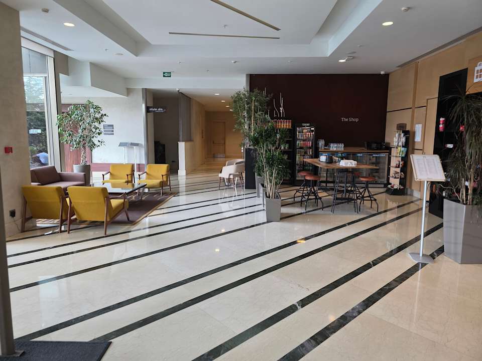 Lobby Hilton Garden Inn Istanbul Beylikduzu