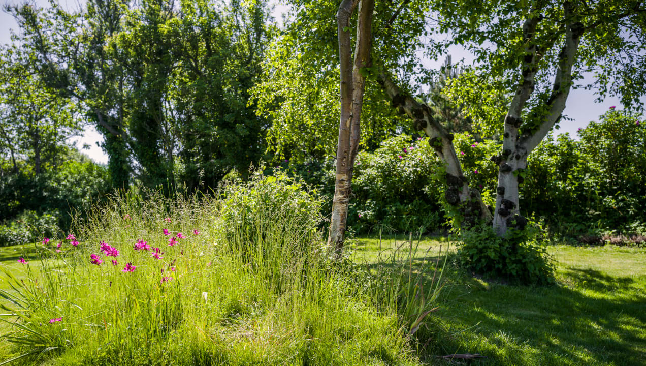 Gartenanlage Hotel Reethüüs