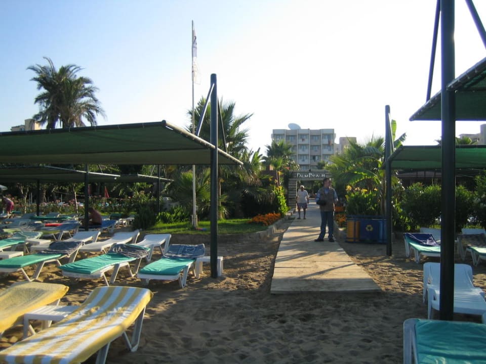 Strand 3 Trendy Palm Beach (Adults Only, 16+)