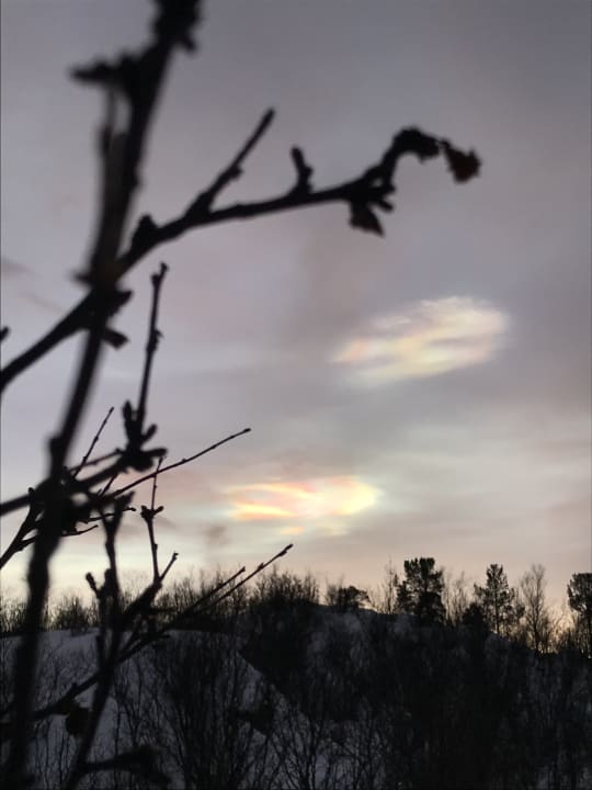 Ausblick Wild Caribou Dome