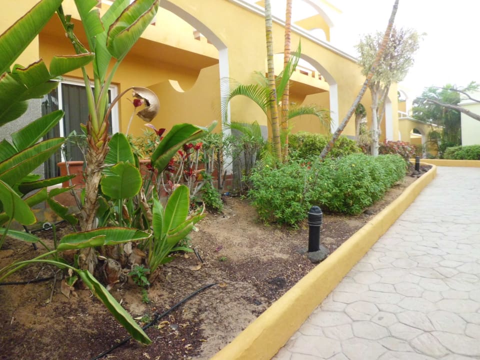 Gepflegte Anlage AluaVillage Fuerteventura