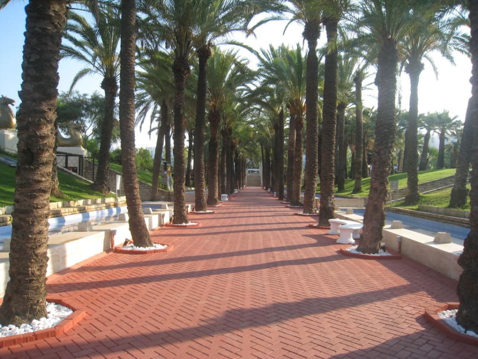 Der Weg zum Hotel Monachus Family Resort Sorgun