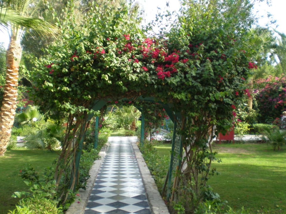 Romantischer Weg im Garten Giftun Azur Resort