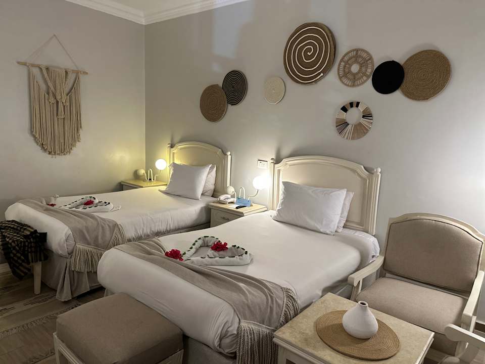 Zimmer Calimera Blend Paradise