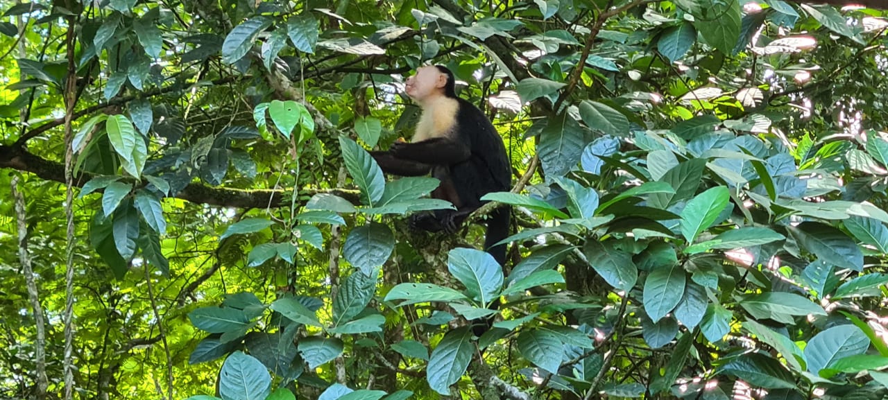 Sonstiges Hotel Aninga Lodge