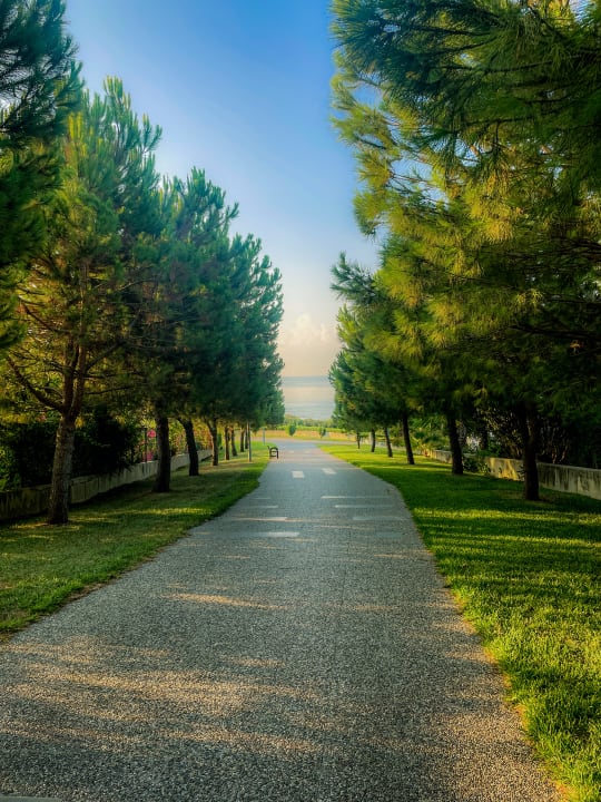 Gartenanlage Alba Queen Hotel