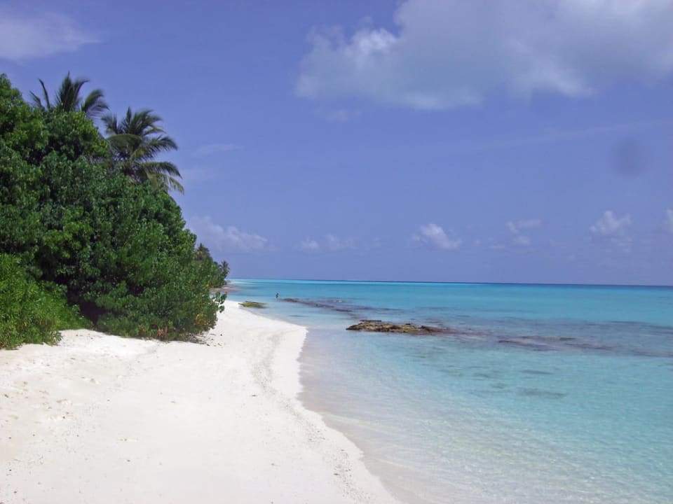 Strand Lagunenseite Kuramathi Maldives