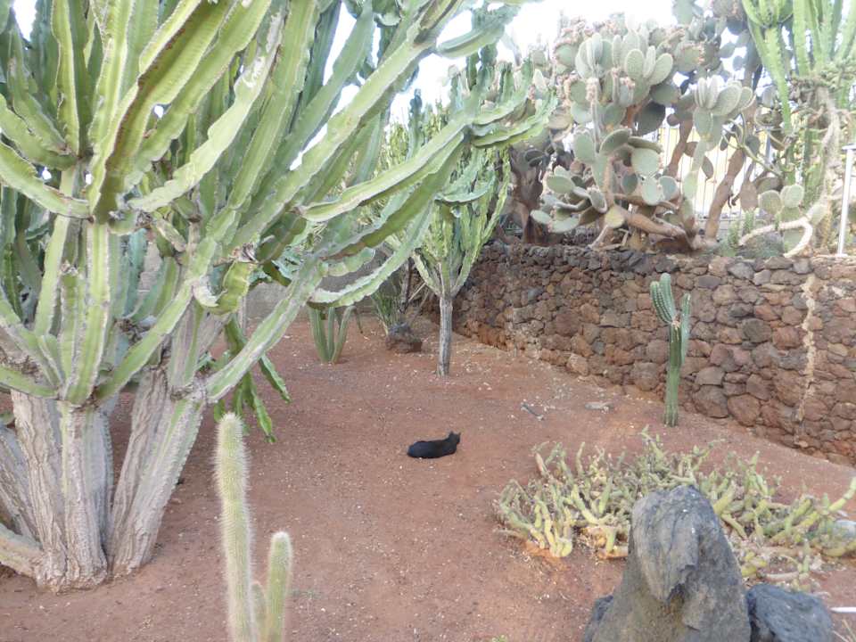 Neben Haupteingang Hotel Europalace