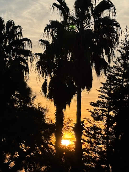 Ausblick TUI MAGIC LIFE Beldibi +16