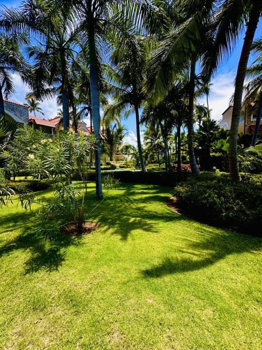 Gartenanlage TRS Turquesa Hotel - Adults only