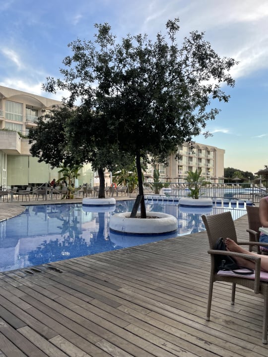 Pool Hotel Zafiro Alzinar Mar